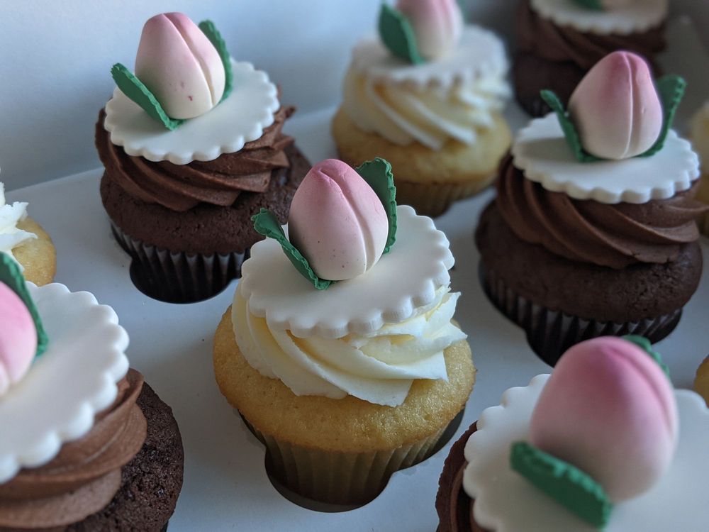 Cupcakes Canada
