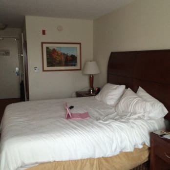photo of hilton garden inn corpus christi corpus christi tx united states - Hilton Garden Inn Corpus Christi photo of hilton garden inn corpus christi corpus christi tx united states - Hilton Garden Inn Corpus Christi