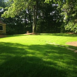 maintenance free lawn