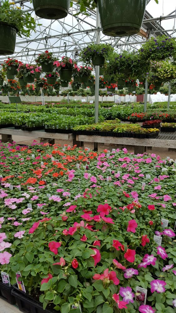 Flower Power Farm 46 Photos Nurseries & Gardening 126 S Main St