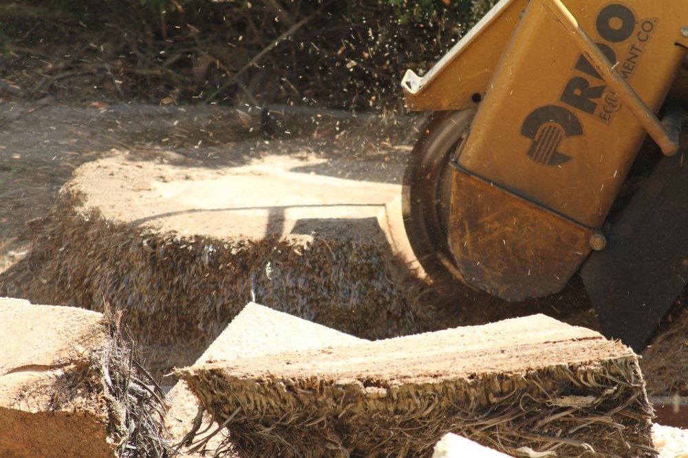 Galvan's Tree Service & Landscaping