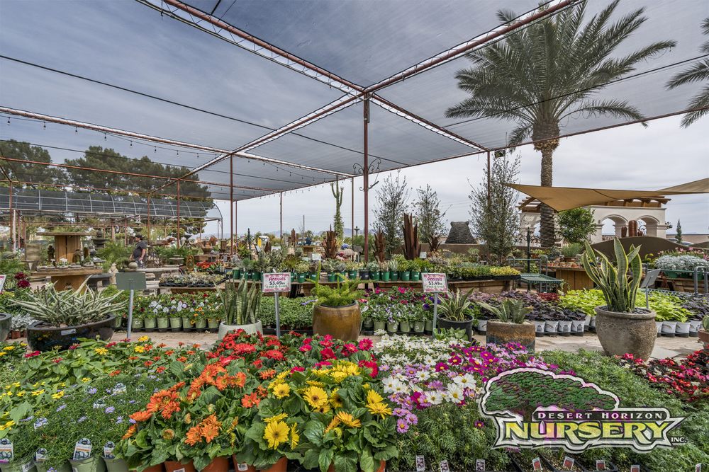 Desert Horizon Nursery 229 Photos & 77 Reviews Nurseries