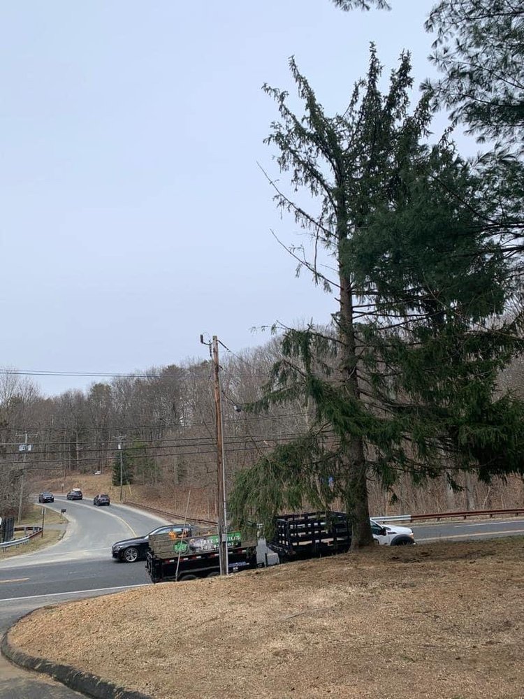 L&T Landscaping and Tree Services