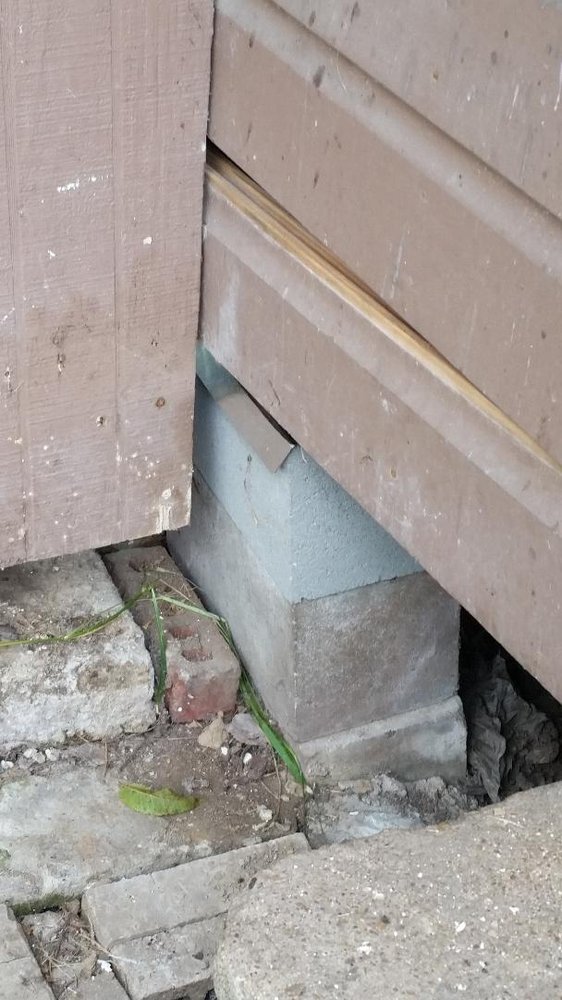 Gonzo Foundation Repair