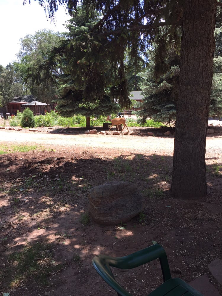 The Timber Lodge 19 Photos & 18 Reviews Hotels 3627 W Colorado