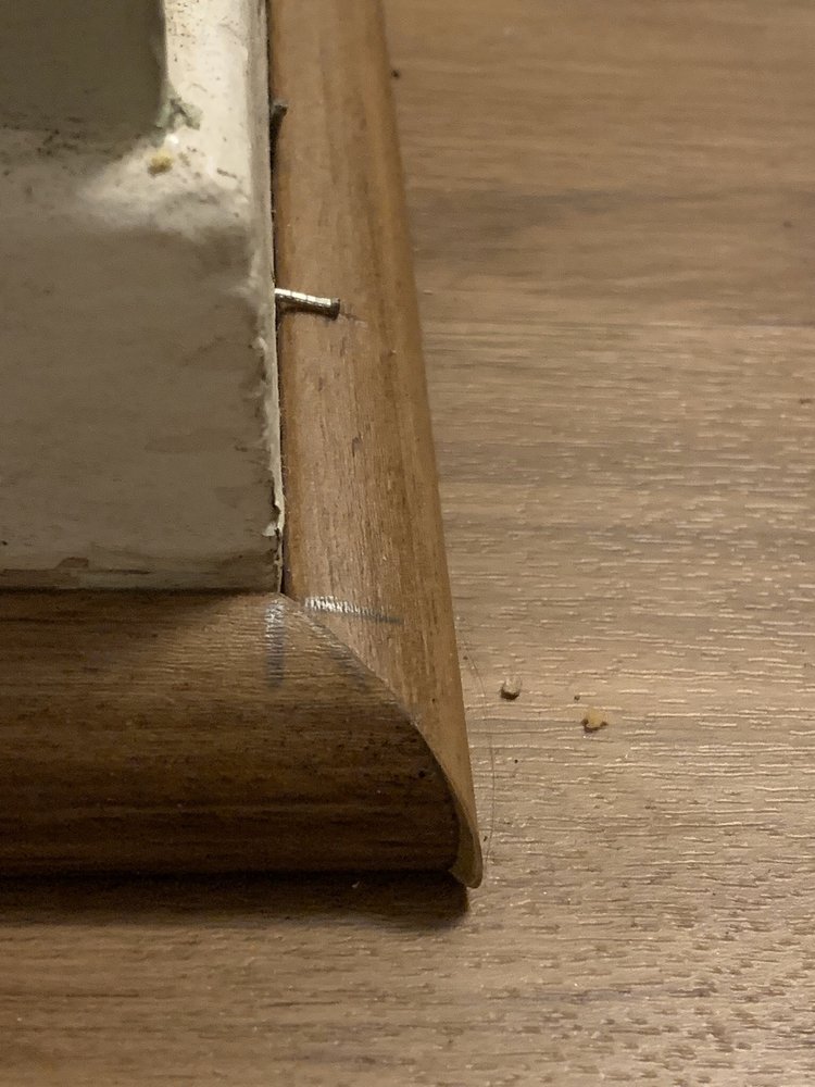 image of business The Carpet Company