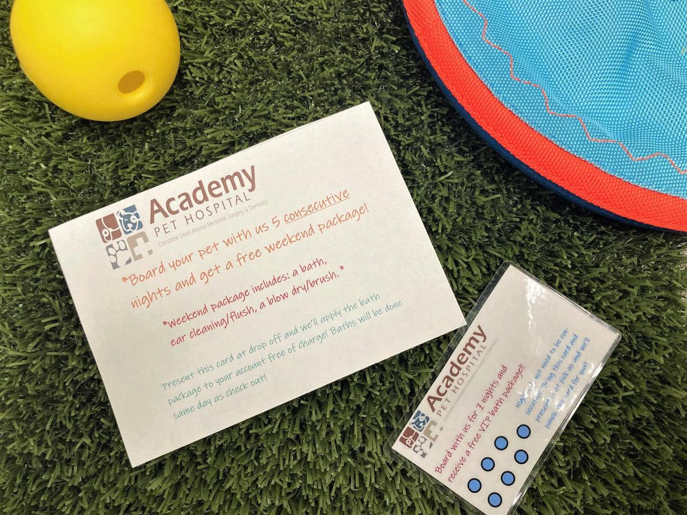 Academy Pet Hospital