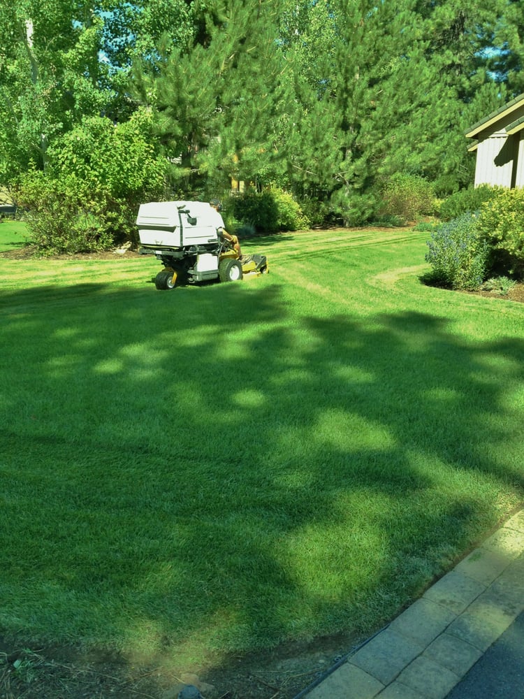 Above All Lawn Service Landscaping Bend Or Phone Number Yelp Above All Lawn Service