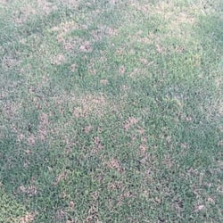 Simply Green Lawn Care 13 Photos Services 1323 Turner Rd Photo Of Simply Green Lawn Care Lilburn Ga United States All These