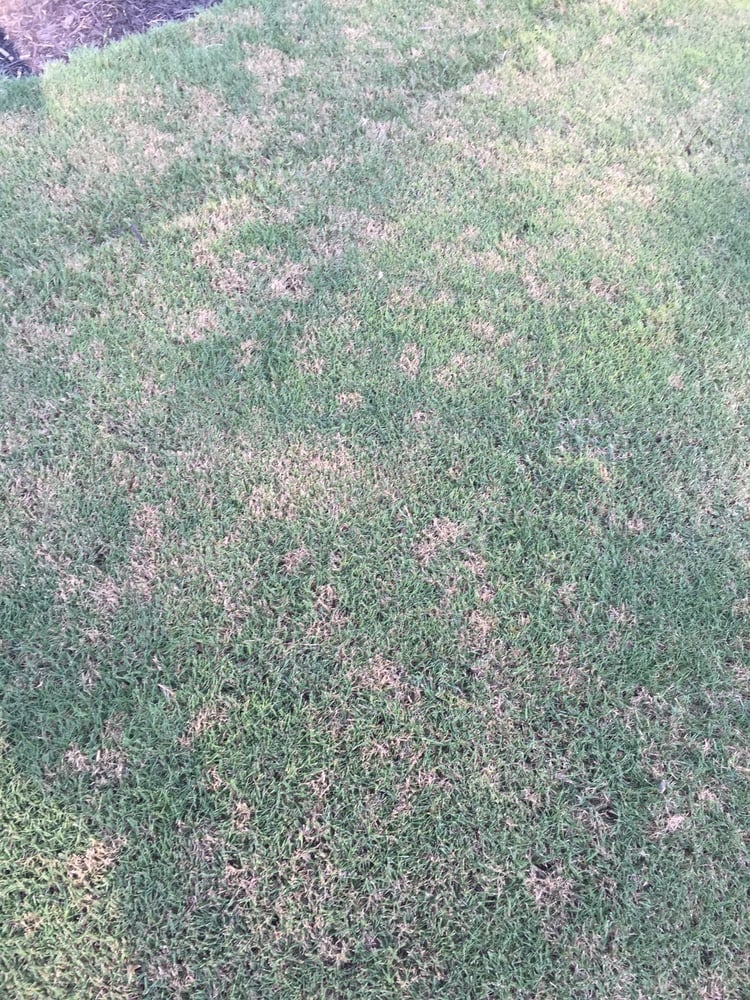 Simply Green Lawn Care 13 Photos Lawn Services 1323 Turner Rd