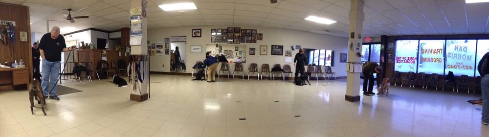Dan Morris Dog Training &amp; Grooming - Pet Sitting - 27478 Plymouth Rd, Livonia, MI - Phone Number