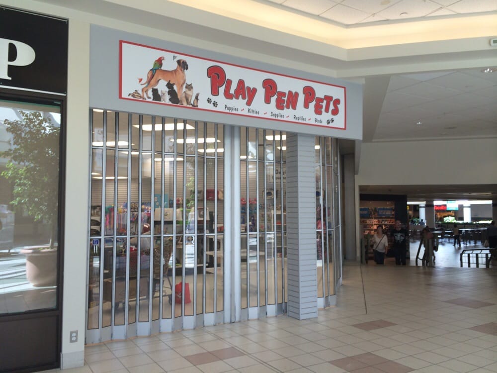 play pen pets pet shops 8311 85 street nw suite 8303 play pen pets pet shops 8311 85 street nw suite 8303