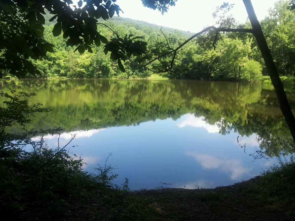 Blue Ridge Center For Enviromental Stewardship
