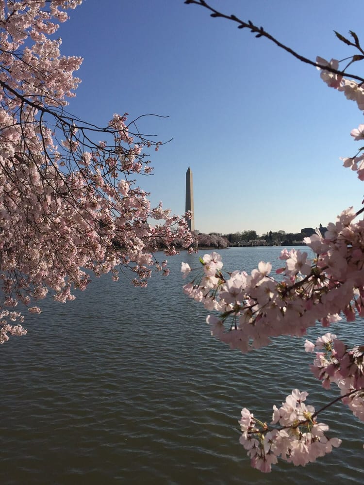 DC Military Tours