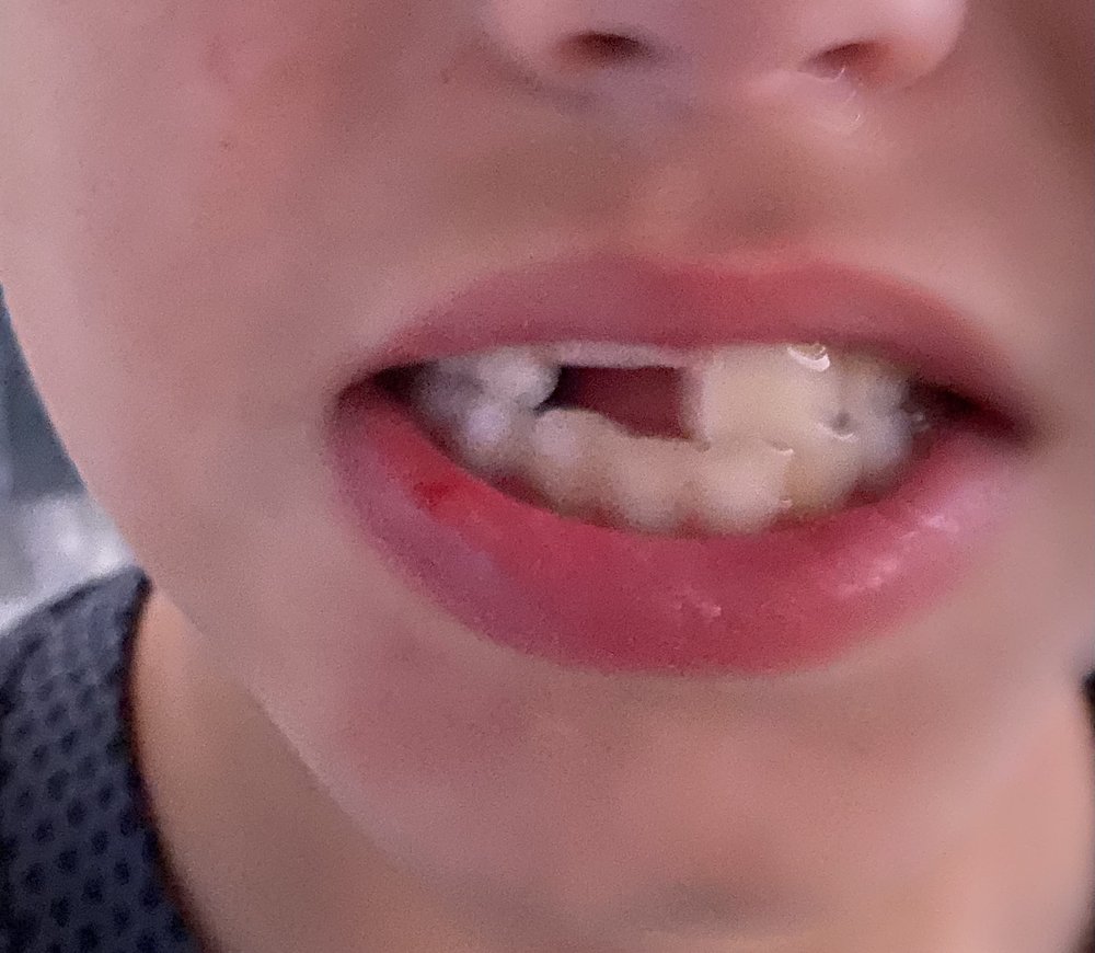 image of business Bruce M Glover, DDS