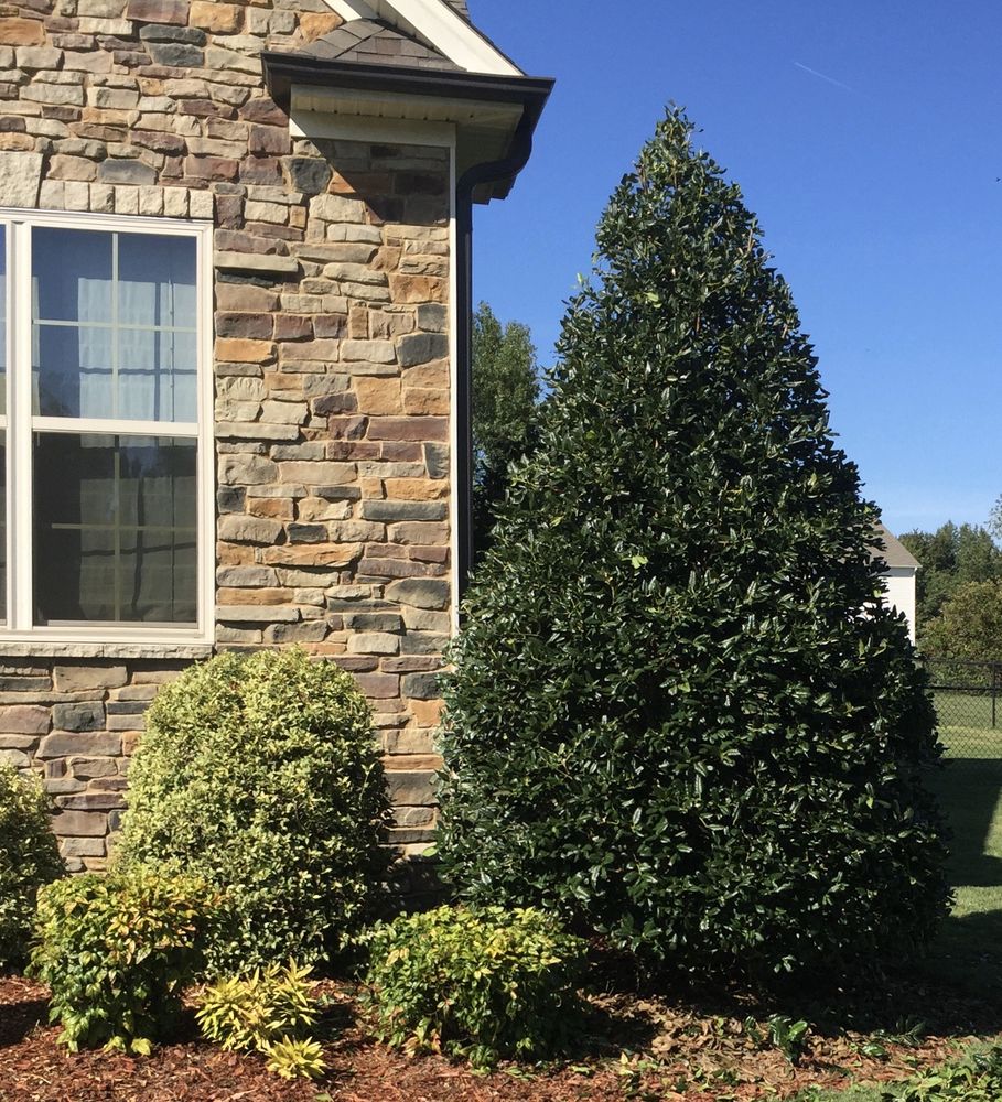 Foster’s Lawn Maintenance and Landscaping