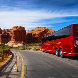 San jose casino bus secrets of the forest slot machines