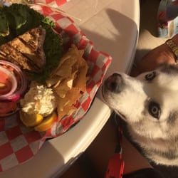 Best Dog Friendly Restaurants Near Point Pleasant Beach Nj 08742 Photo Of Riverside Cafe