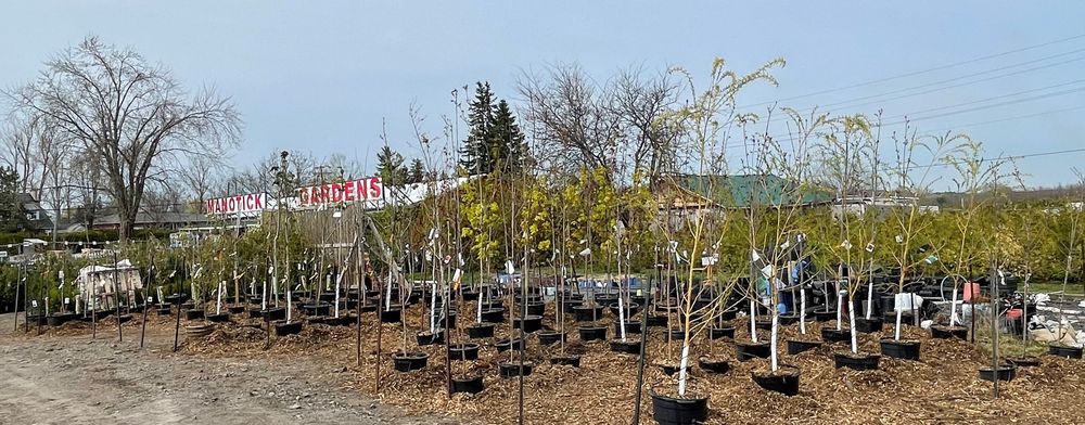 Manotick Gardens & Landscaping Supplies