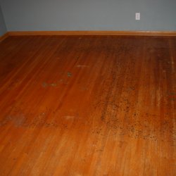 Dave S Floor Sanding Installing 36 Photos 23 Reviews