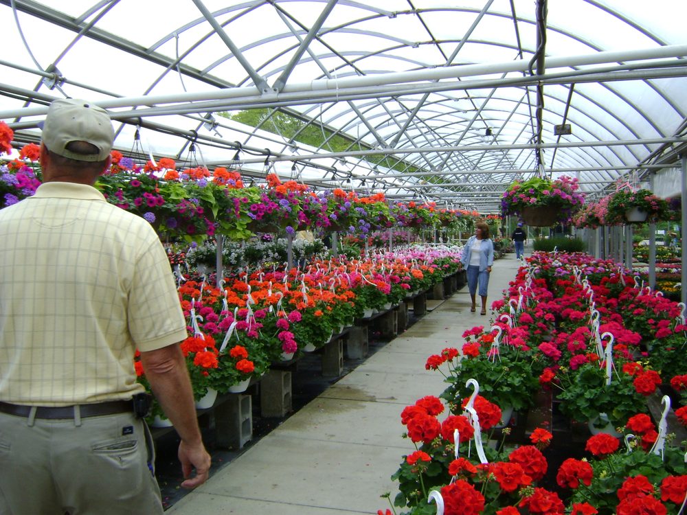 Pleasant Valley Greenhouses & Nursery Nurseries & Gardening 2871