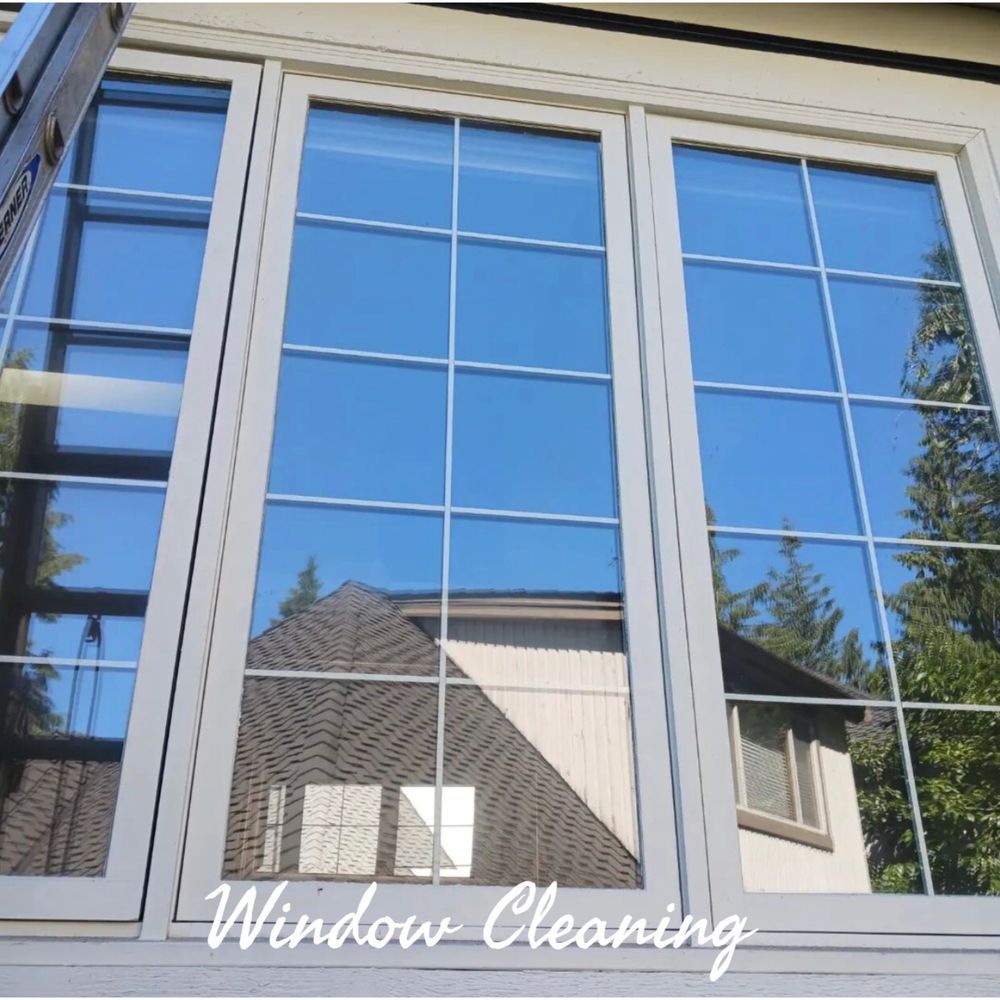 Before & After Gutters and Windows Cleaning