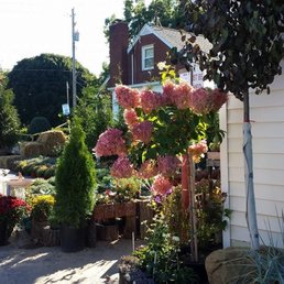 Springlake Nursery 14 Photos Nurseries Gardening 3023 Photo Of Springlake Nursery Perry Oh United States