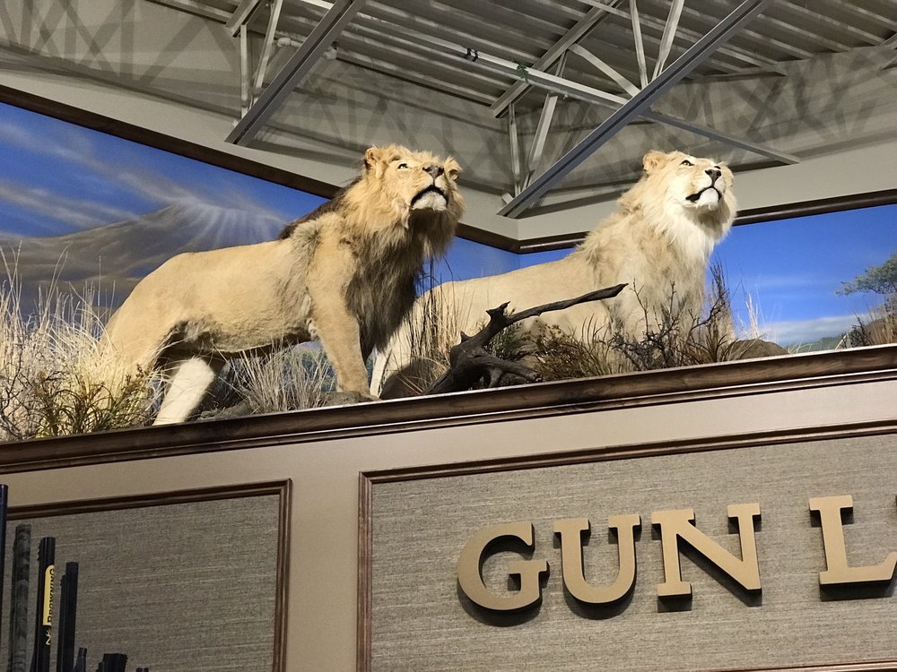 Cabela's