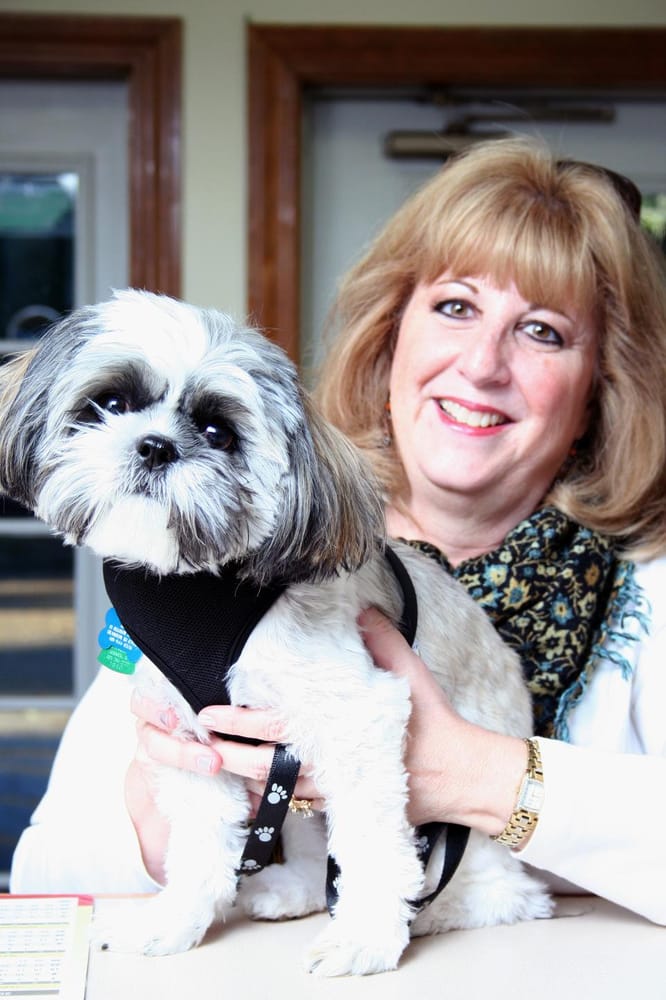 Warwick Animal Hospital 10 Photos & 29 Reviews Veterinarians 1950