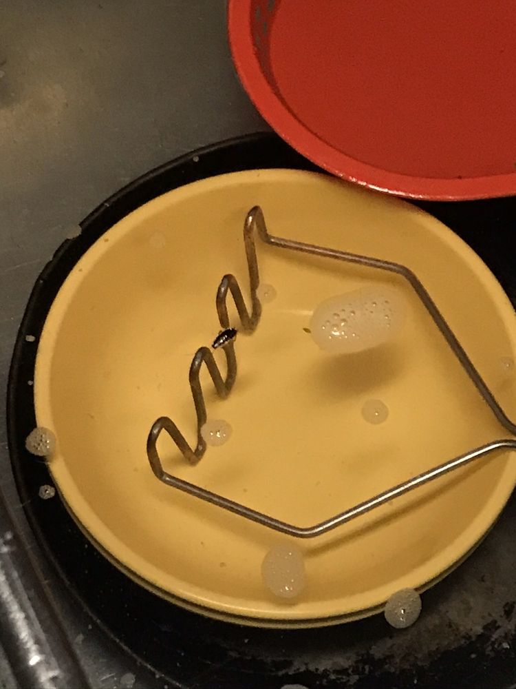O