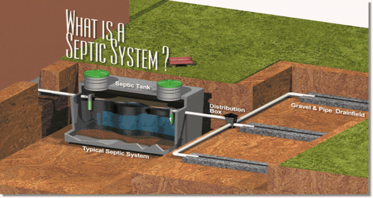Westland Plumbing Septic
