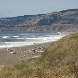 Manchester Beach Ca The Best Beaches In World Manchester State Campground Closed 10 Photos Campgrounds