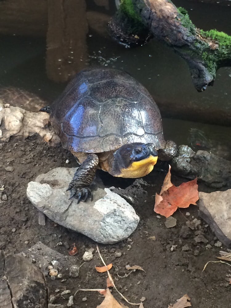 City Of Sterling Heights Nature Center City Of Sterling Heights Nature Center