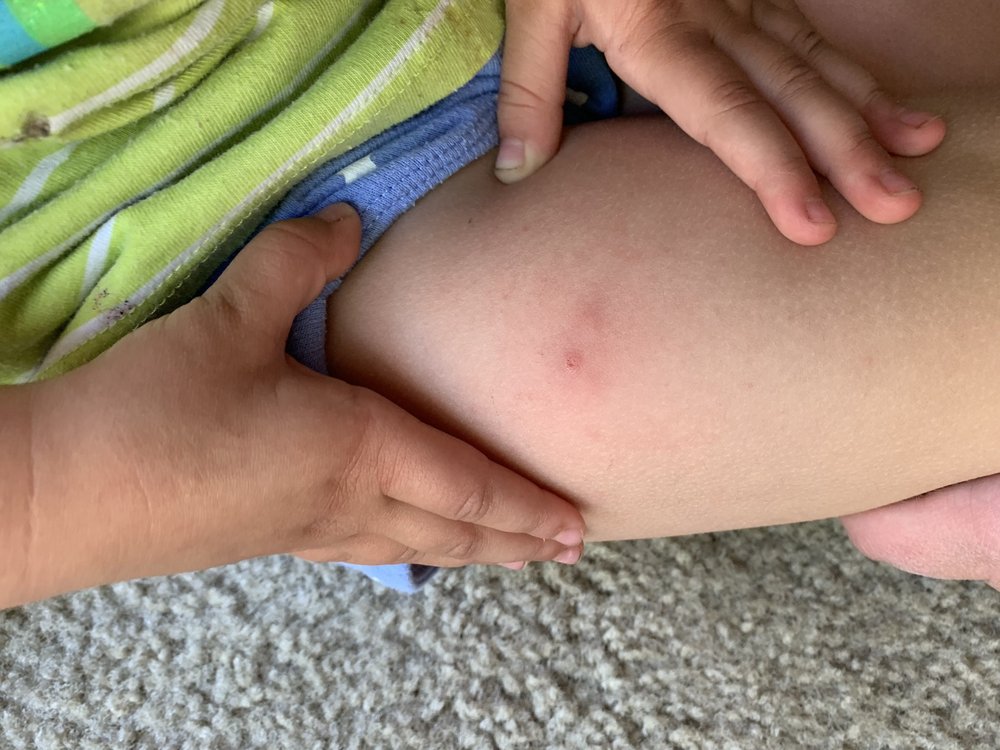 image of business Olympia Pediatrics