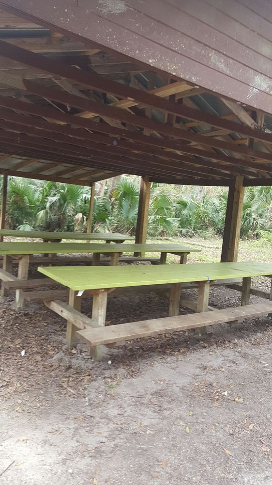 Spring Hammock Preserve 41 Photos Hiking 2986 Osprey Trl, Sanford