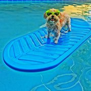 Paradise Pools Pool Cleaners 1501 Se Decker Ave Stuart Fl Into The Blue Pools