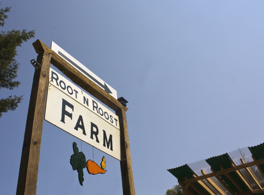 Root n Roost Farm 64 Photos Farmers Market 64 Mineral Springs Rd