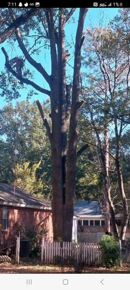 Turf Nurse Tree & Outdoor Services