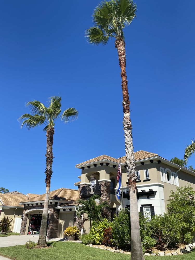 Cnote Landscaping