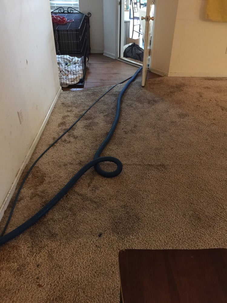 Magic Carpet Cleaning