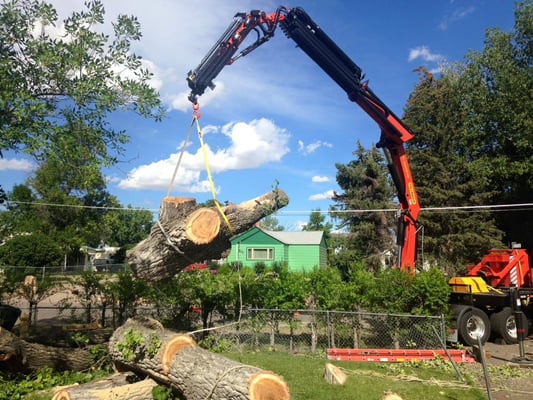 Rocky Mountain Tree Care Po Box 337 Black Eagle Mt Lawn Services Hotels Nearby