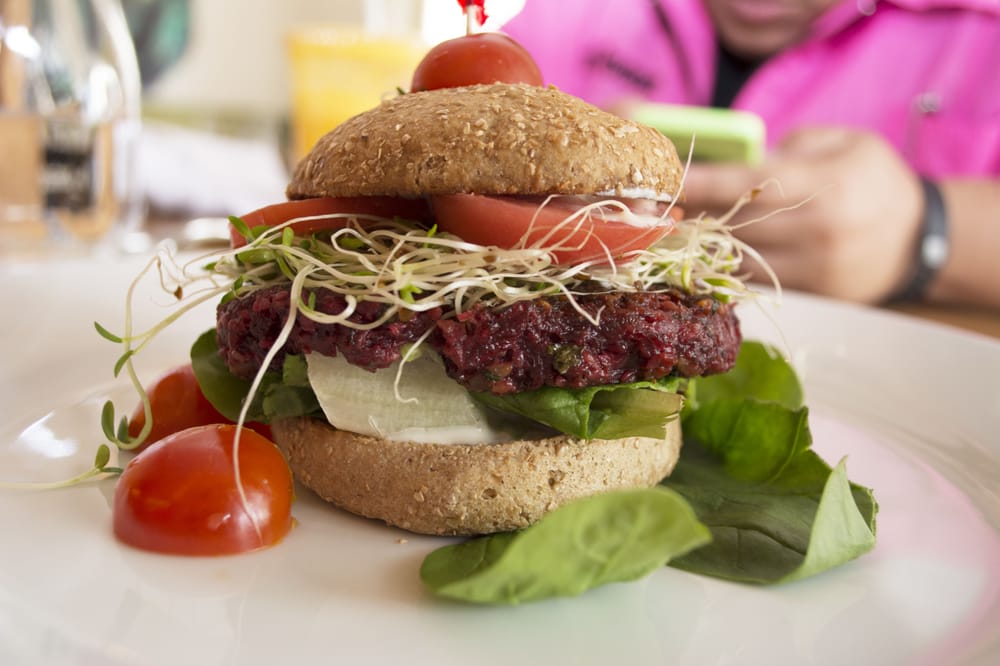 Jungle Cafe Greenpoint Reviews Jungle Cafe Greenpoint Reviews