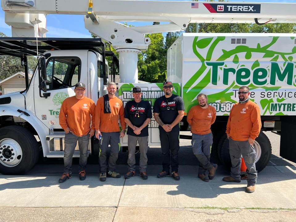 TreeMax Tree Service