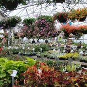 Oak Creek Nursery Lincoln Ne Home Design Ideas Campbell S Nurseries Garden Centers Gardening 5625