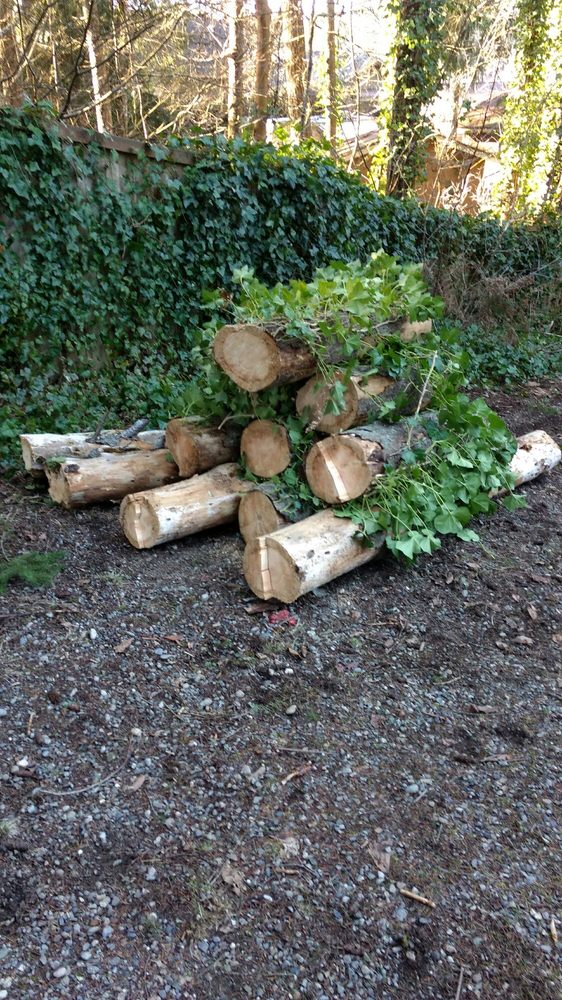 Highline Tree Service