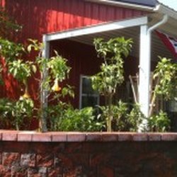 Broccolo Tree Lawn Care Landscaping 2755 Penfield Rd Fairport Photo Of Broccolo Tree Lawn Care Fairport Ny United States