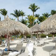 La Cabana Beach Resort And 58 Photos 16 Reviews Hotels Photo Of La Cabana Beach Resort And Aruba Gelderland The Netherlands