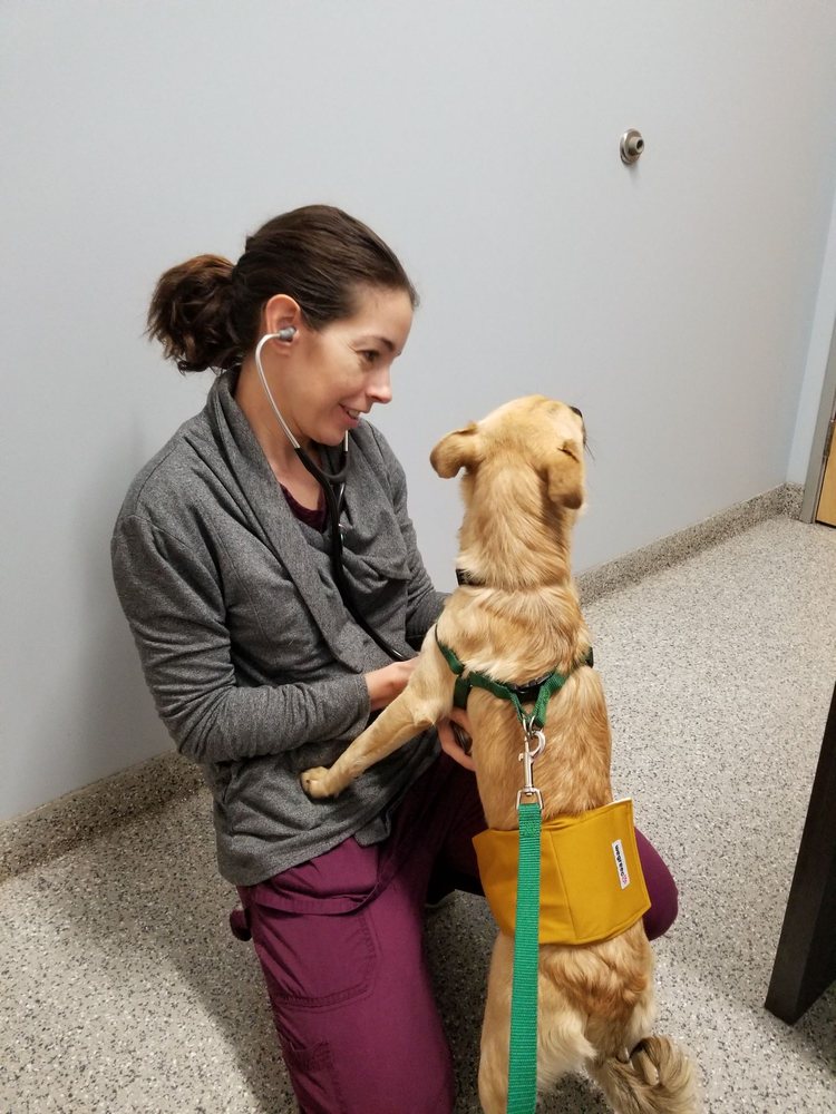 Anaheim Hills Pet Clinic 61 Photos 110 Reviews Veterinarians