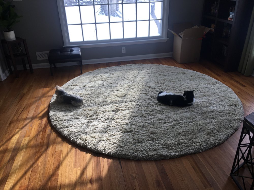 Area Rug Dimensions 12623 Metcalf Ave Overland Park Ks 2019