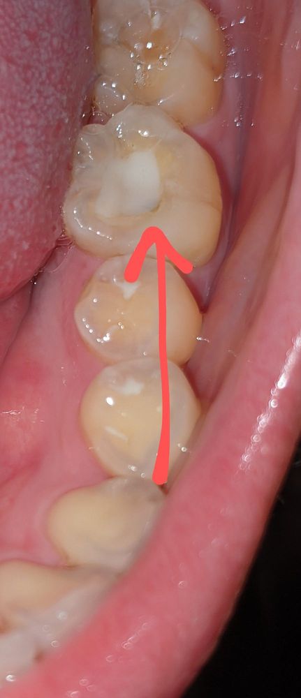 image of business Neshaminy Valley Dental